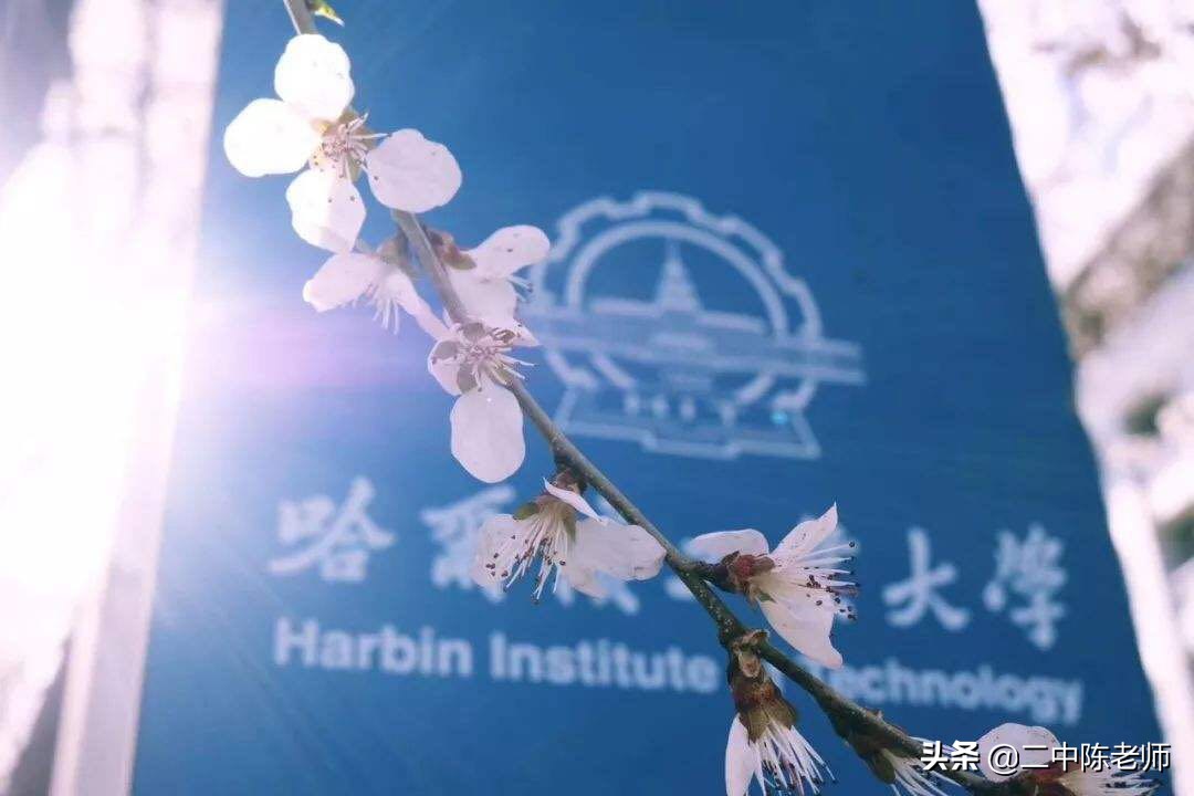 20个省提前批投档线出炉，这五所985大学，录取分很“友好”