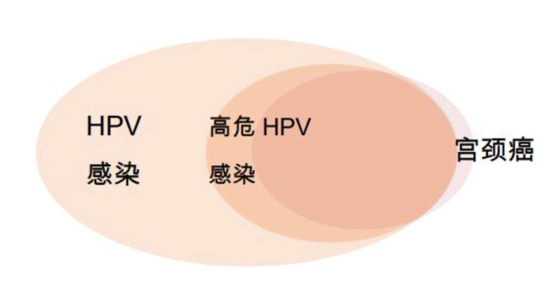 HPV男人也要打！四价和九价什么区别？记住这个号码帮你约疫苗