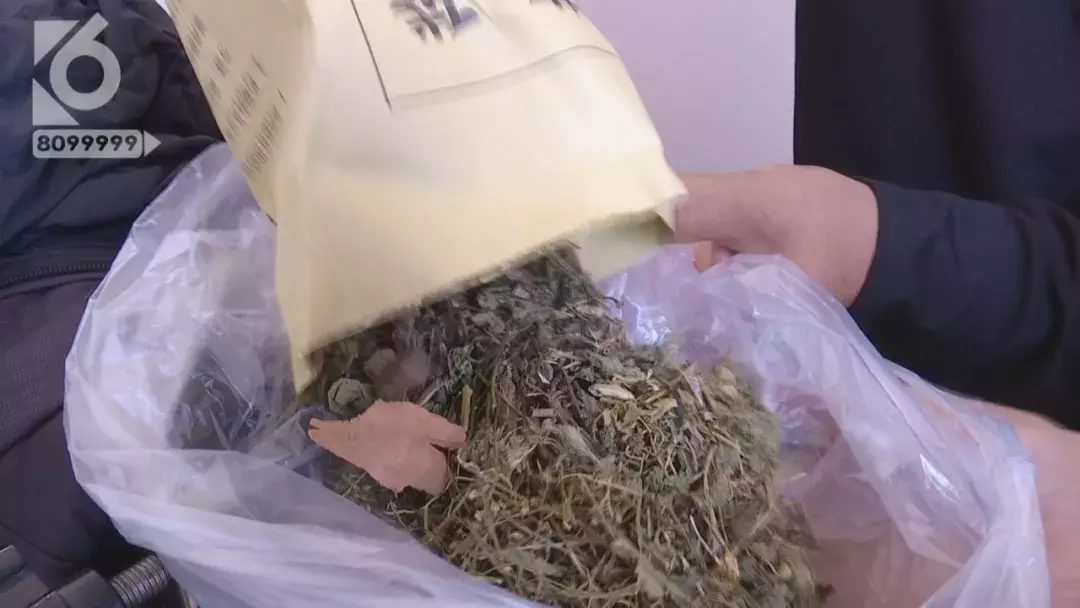 半小时治疗花费近5万  腹部肿瘤只需腿上扎针就能治疗？