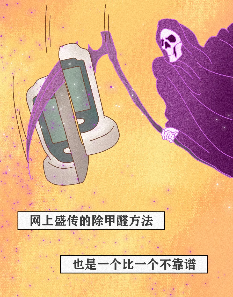 怎么彻底清除甲醛方法3