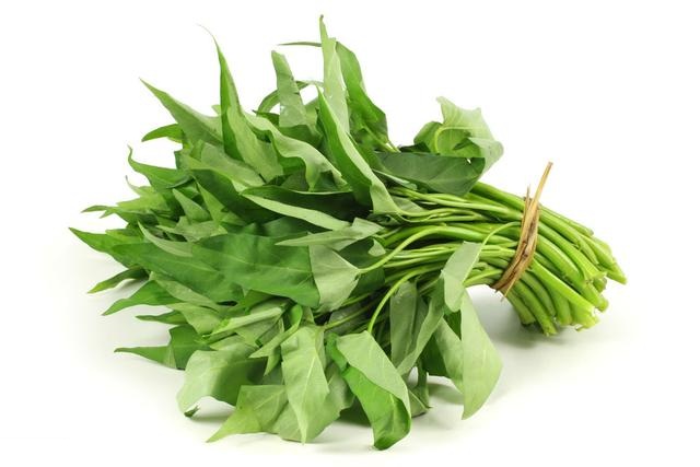 空心菜的功效与作用(空心菜的食用禁忌及营养价值)