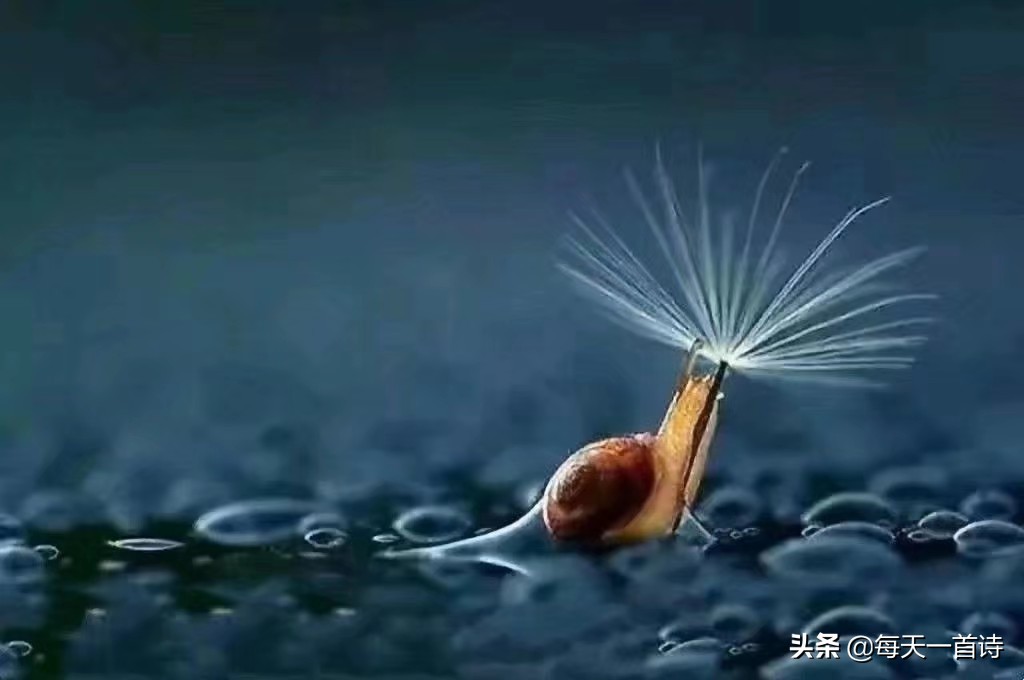 过年了，只有五味的心情…