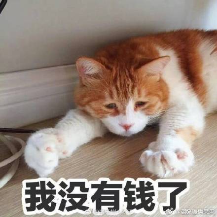 热门表情包：一夜之间，南方人变成了X方人