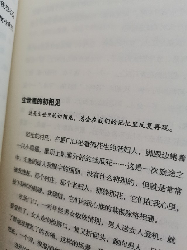 菊的心里，住着芬芳一一这些唯美又暖心的句子，能融化你心中的冰