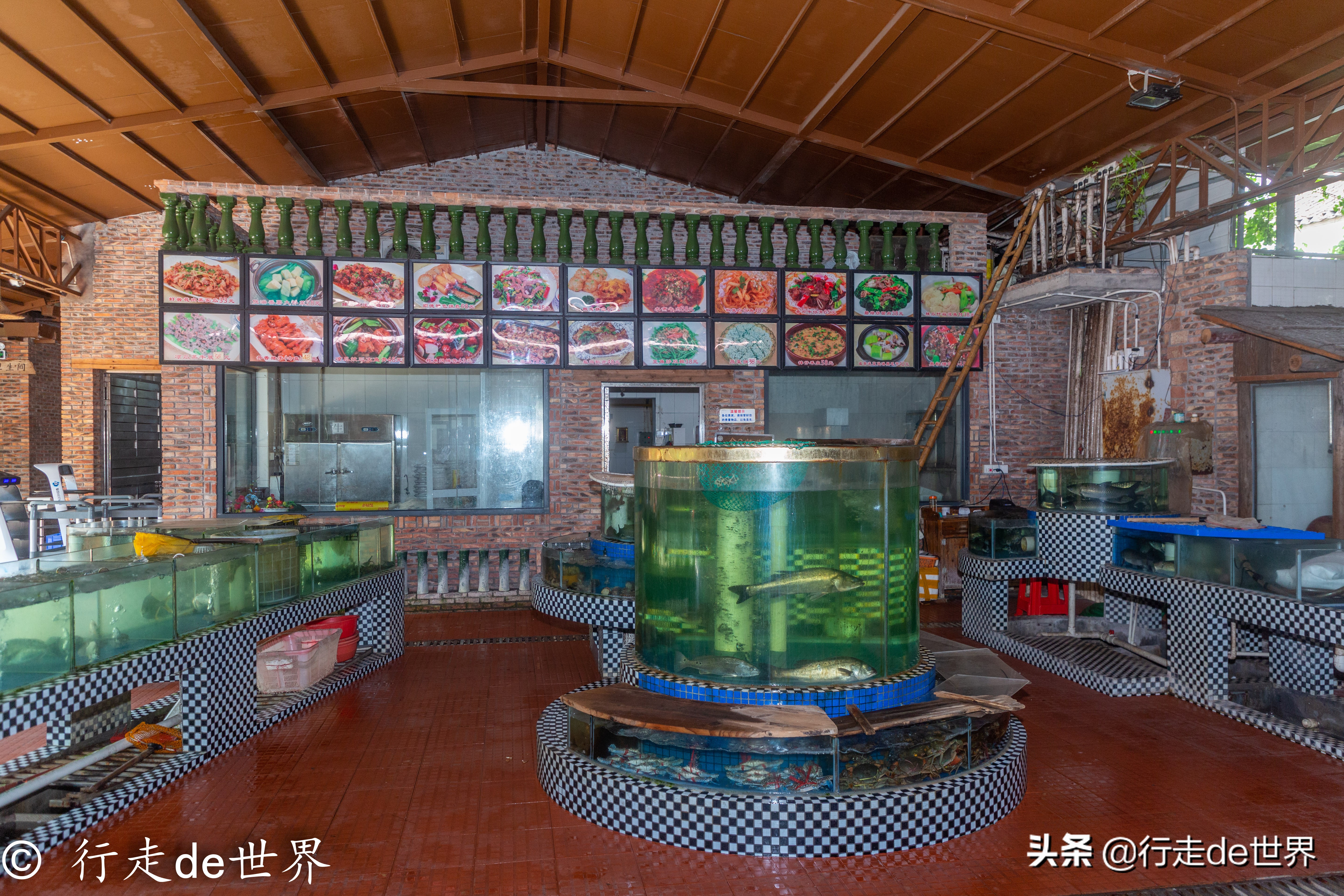 国庆假期相聚顺德，一次性打卡六家餐厅，品味地道顺德味道