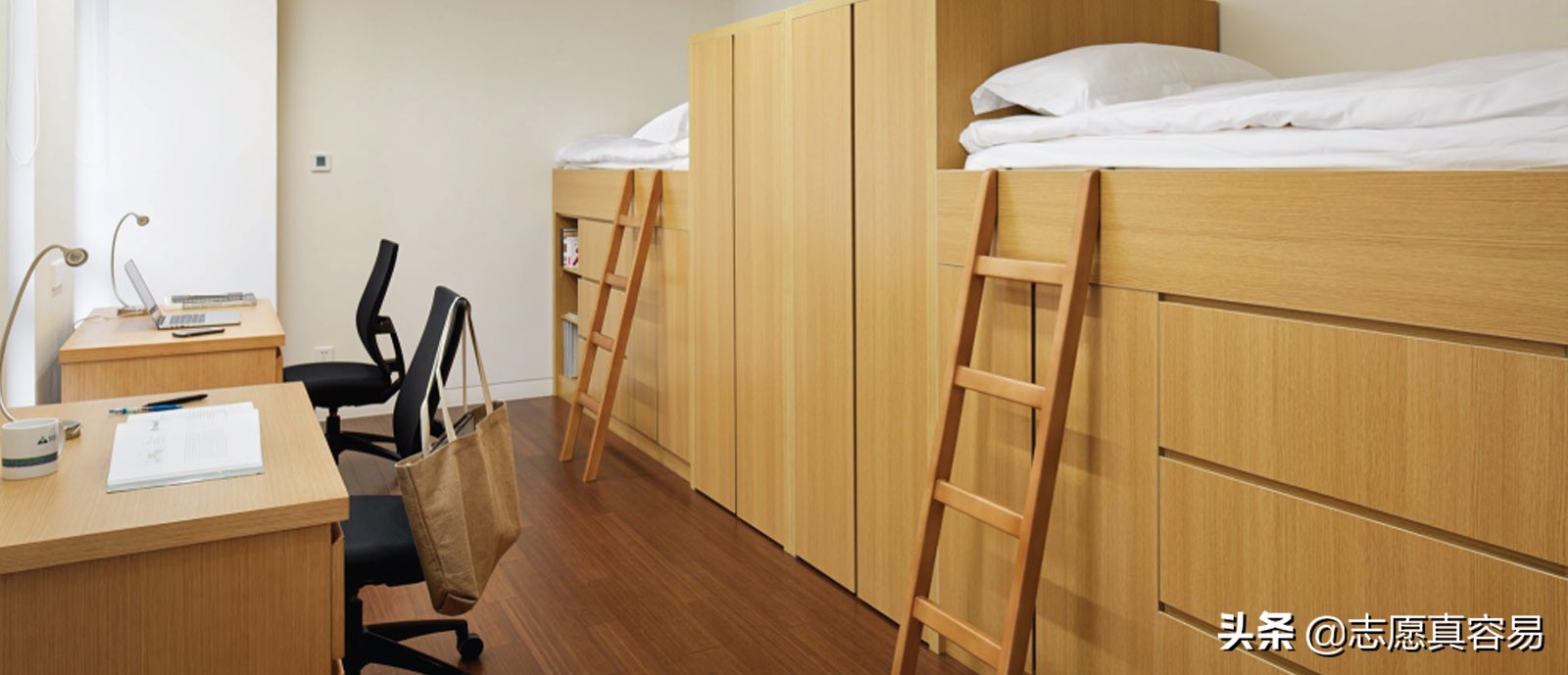 高考选校：统招计划内招生，政府每年补贴20万学费，别错过报名