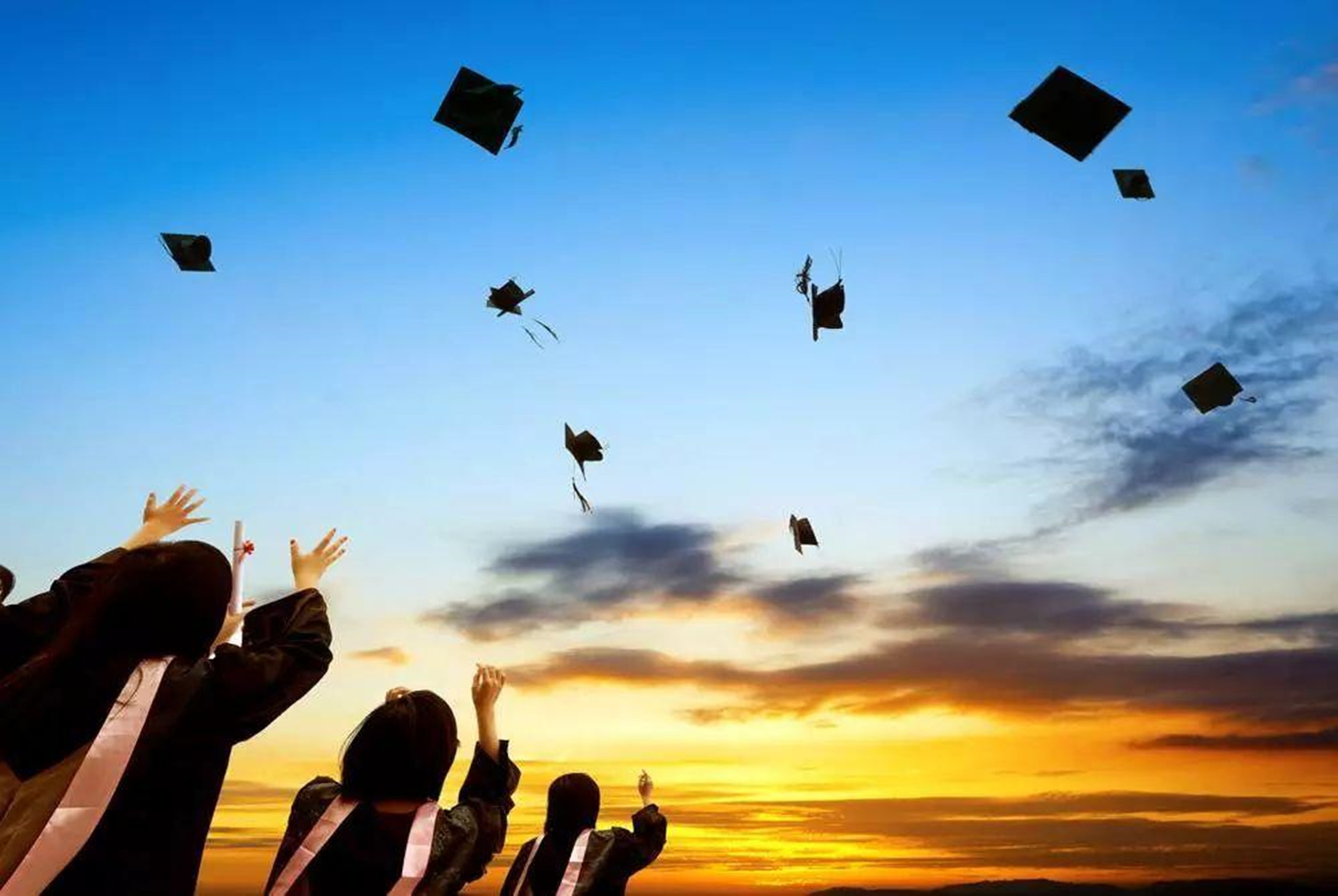 男大学生意外发现女友情史，竟是“毕业论文”惹的祸，太离谱了