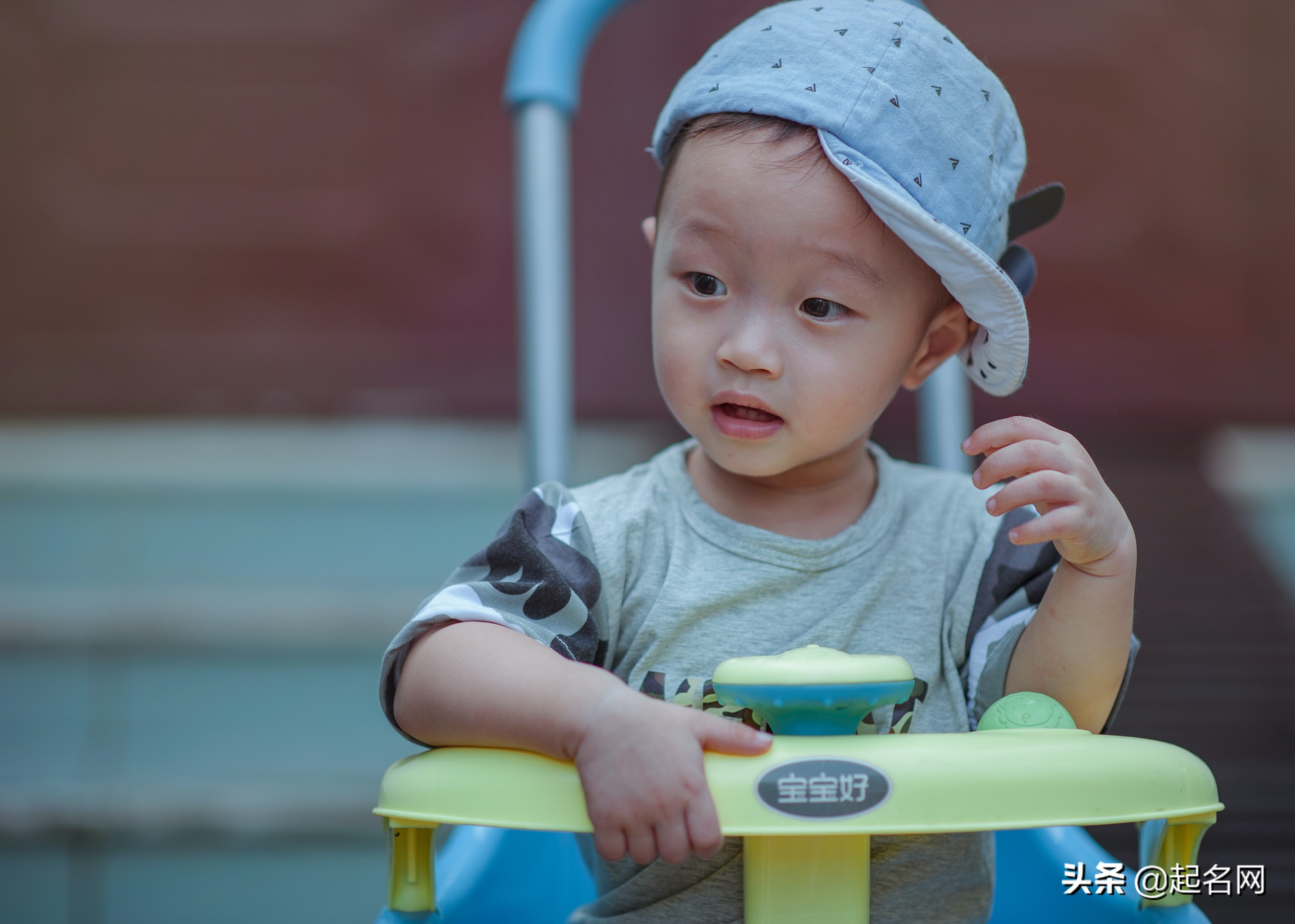 蚍蜉怎么读？起名也有段位之分