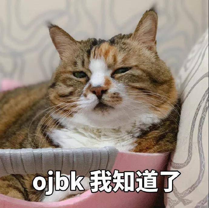 猫咪表情包OK系列：我觉得OK