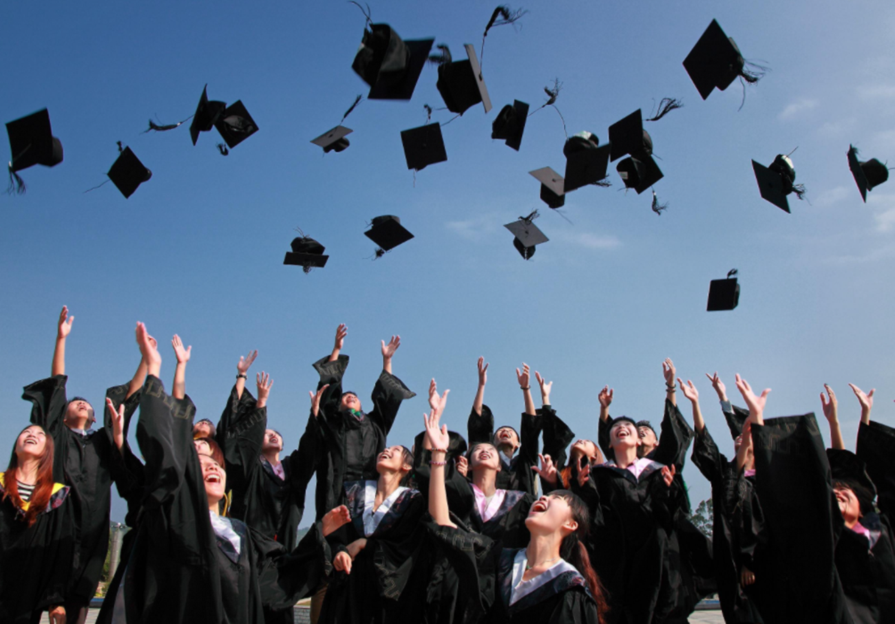 武汉大学就业信息网（就业率）