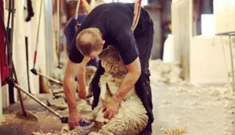 多年遗留问题：男人能不能穿UGG？还有这些你不知道的背后故事