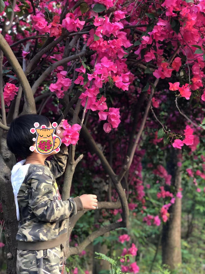 在哪里上大学可以去上市公司实习？平民生活角度看深圳-深圳大学