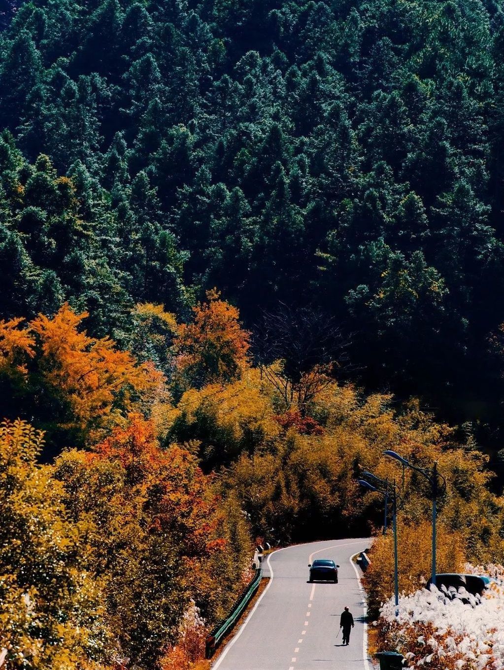 宝藏分享｜资深旅行家推荐，中国10条极小众公路