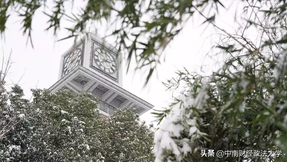 这个学校，就一个字，棒！