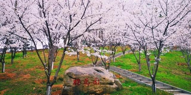 武昌理工学院究竟有多美？一组图告诉你什么才是湖景校园