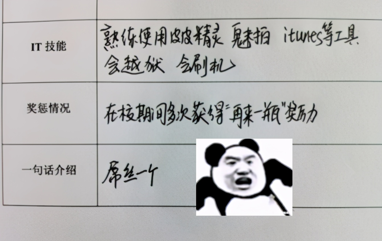 大学生英文简历（大学生花式求职简历）