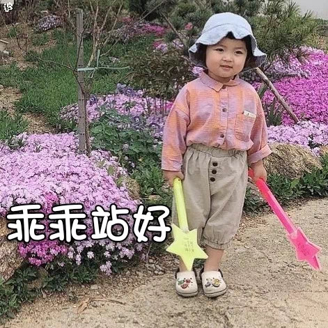 罗熙表情包：叫你别吃那么多，现在变成猪了吧