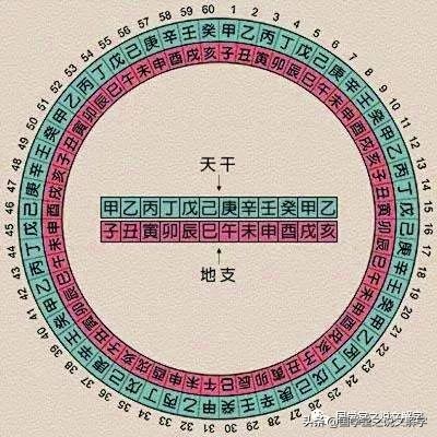 說文解字：“甲、乙、丙、丁、戊、己、庚、辛、壬、癸”