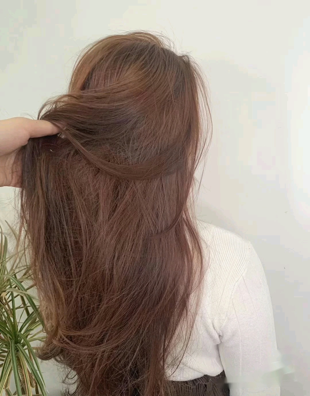 橘色头发图片(2020好看) - 赤虎壹号