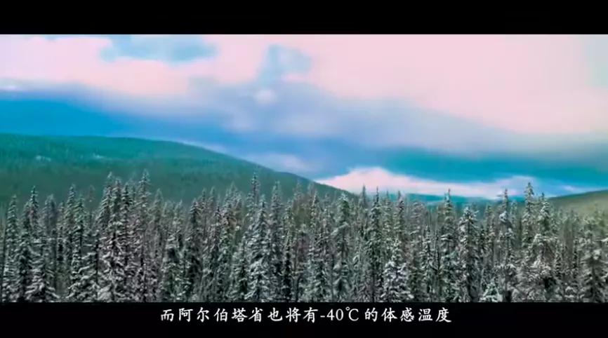 北大毕业后，他去了加拿大种菜：“义无反顾，没有想过再回国”