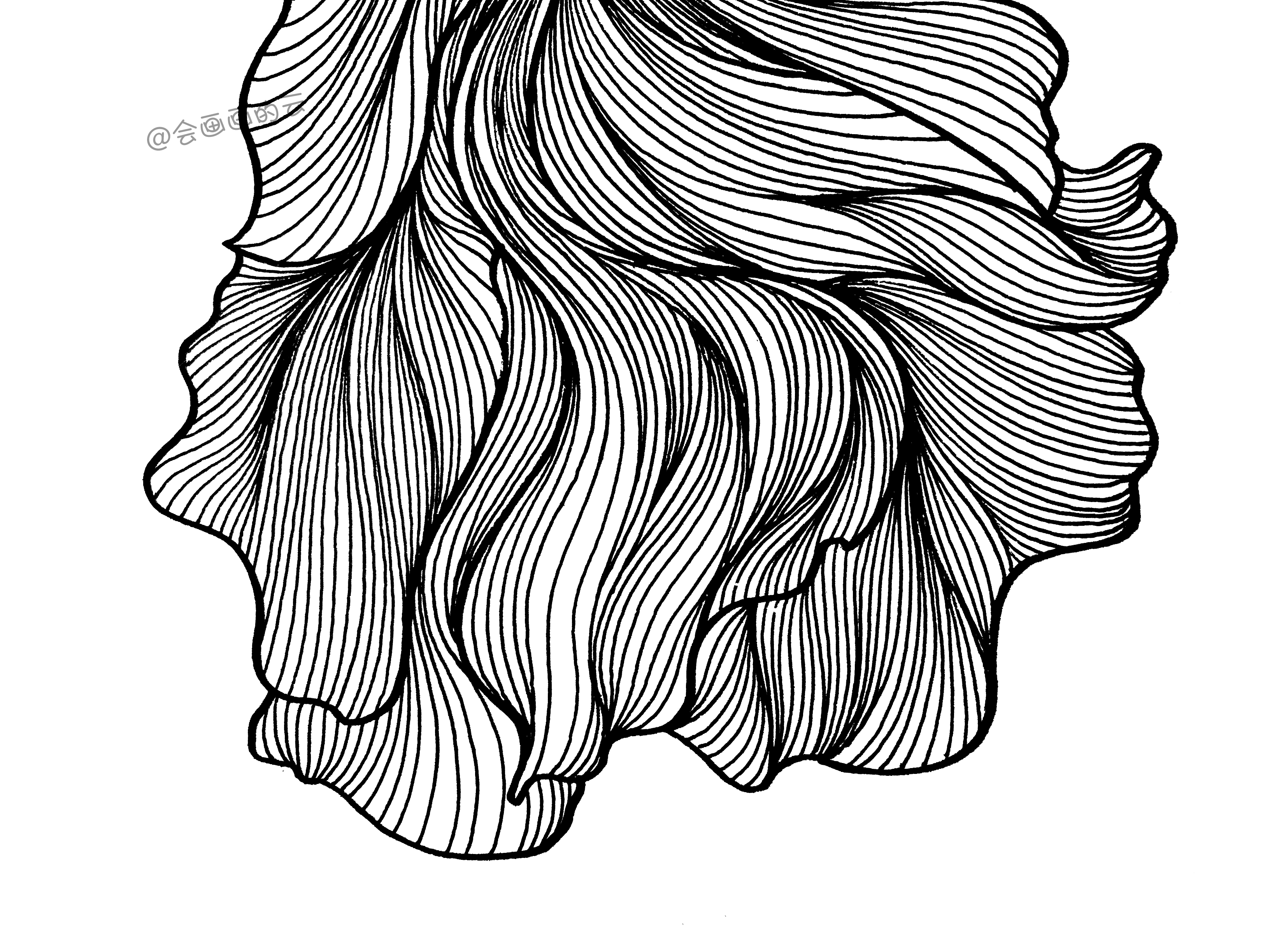 3款简笔画金鱼，零基础也可以画的线描画