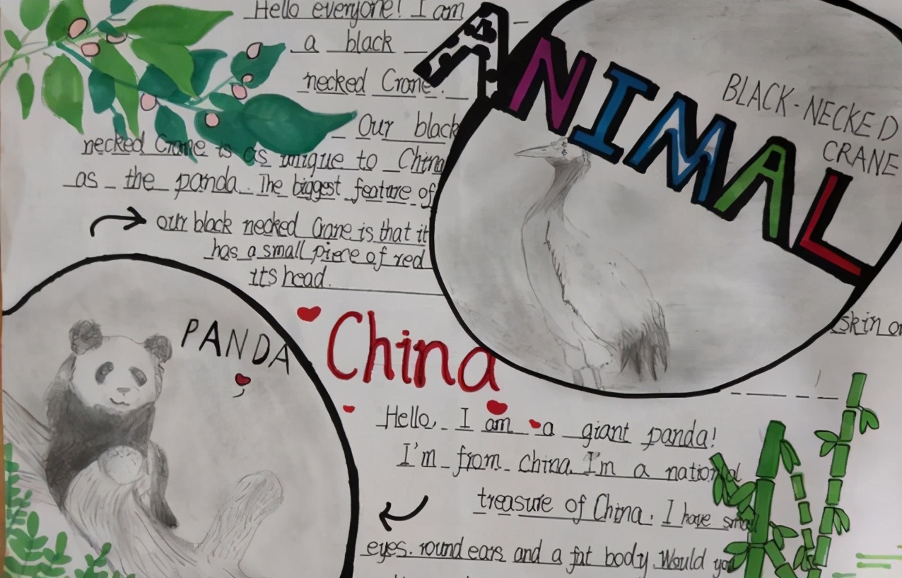 校园英语节开幕，河北这所小学的孩子们用英语介绍中国