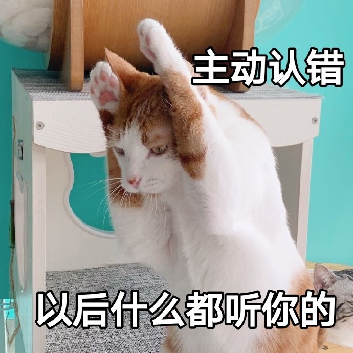 猫咪表情包合集我小猫咪的心好痛