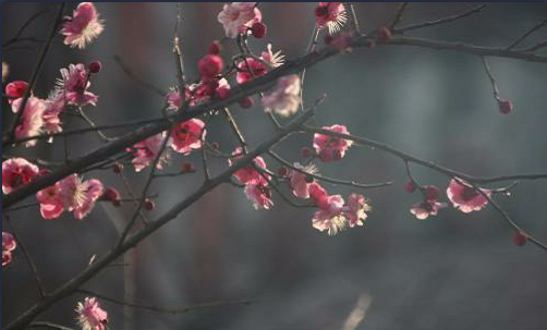 西北工业大学2018各省录取分数线