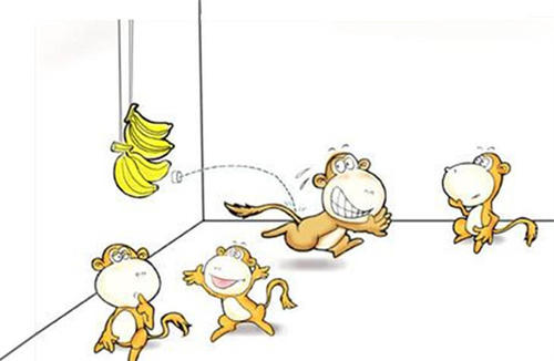 猴子与香蕉，生活中的潜规则很可怕
