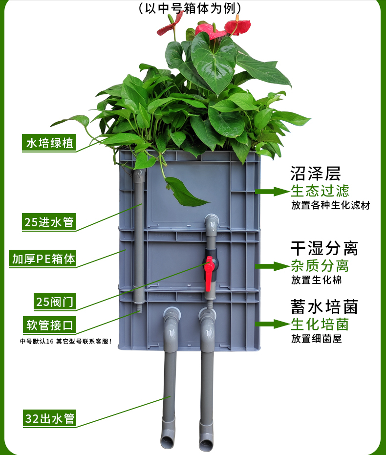 花一万元，在院子里建了个“原生态鱼池”，太漂亮了