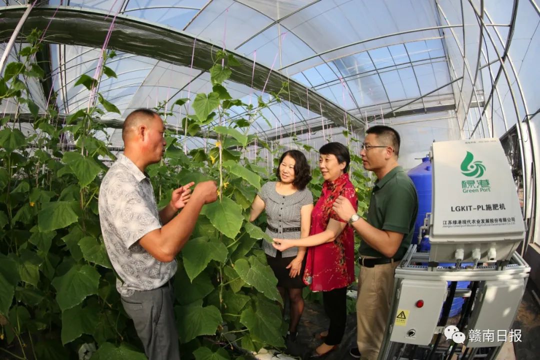 赣州荣耀！刚刚，他们在人民大会堂接受表彰！