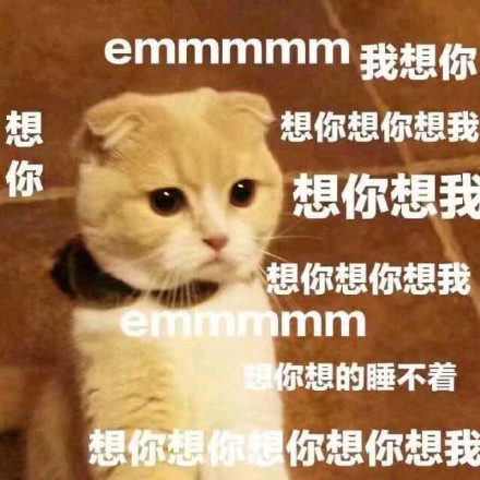 猪猪想你了表情包合集