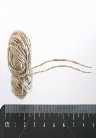 这10部顶级数学纪录片，告别枯燥数学，值得收藏