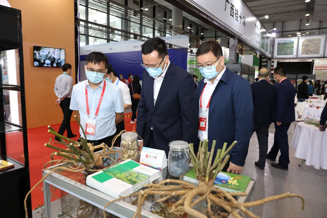 关注｜推动广西中医药振兴发展！第九届中药材基地共建共享交流大会在南宁开幕
