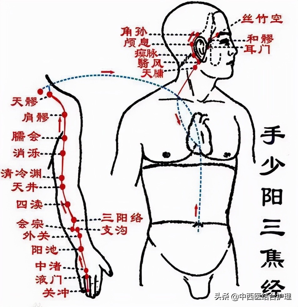 「中医讲头痛」头痛是内脏在警告什么呢？头顶痛是肝头痛、前额痛是胃头痛等，快来看看吧