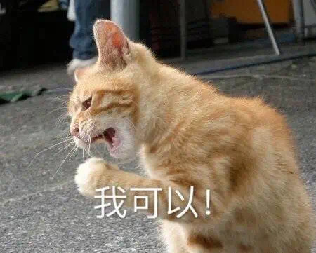 表情包：你又不和我睡，你管我几点睡！