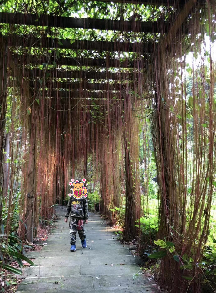 在哪里上大学可以去上市公司实习？平民生活角度看深圳-深圳大学