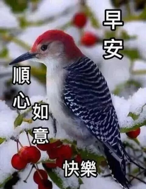 早上好问候祝福语最新漂亮动态图 带字带祝福送朋友句子