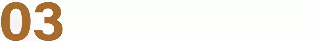 20年蒙牛大商，在创业路上折腾到底