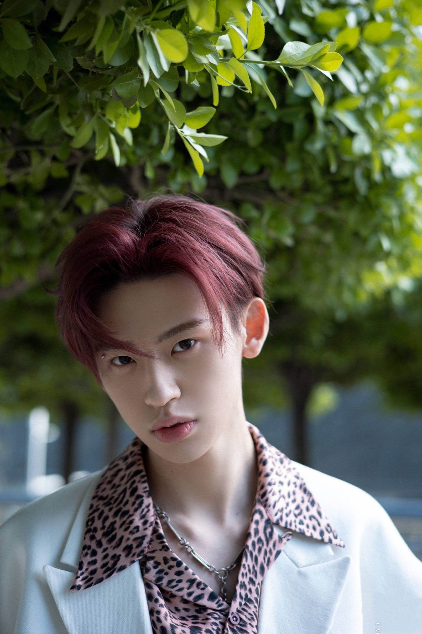 百分九男孩出道三周年：内娱选秀天花板，聚是一团火，散是满天星