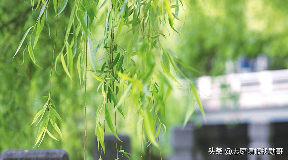 2019-2020年大学改名、升本，转设名单，最全收藏帖