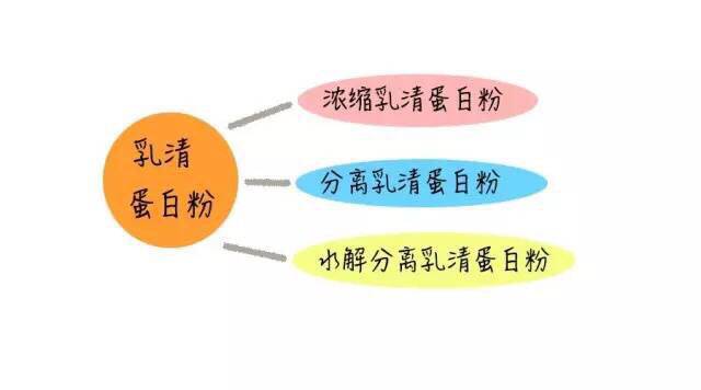 你的蛋白补对了么？超全测评教你选