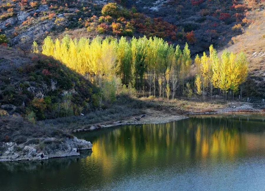 赏秋时节 </p><p>　　 打卡京郊这10条乡村公路，藏着北京最美的秋天