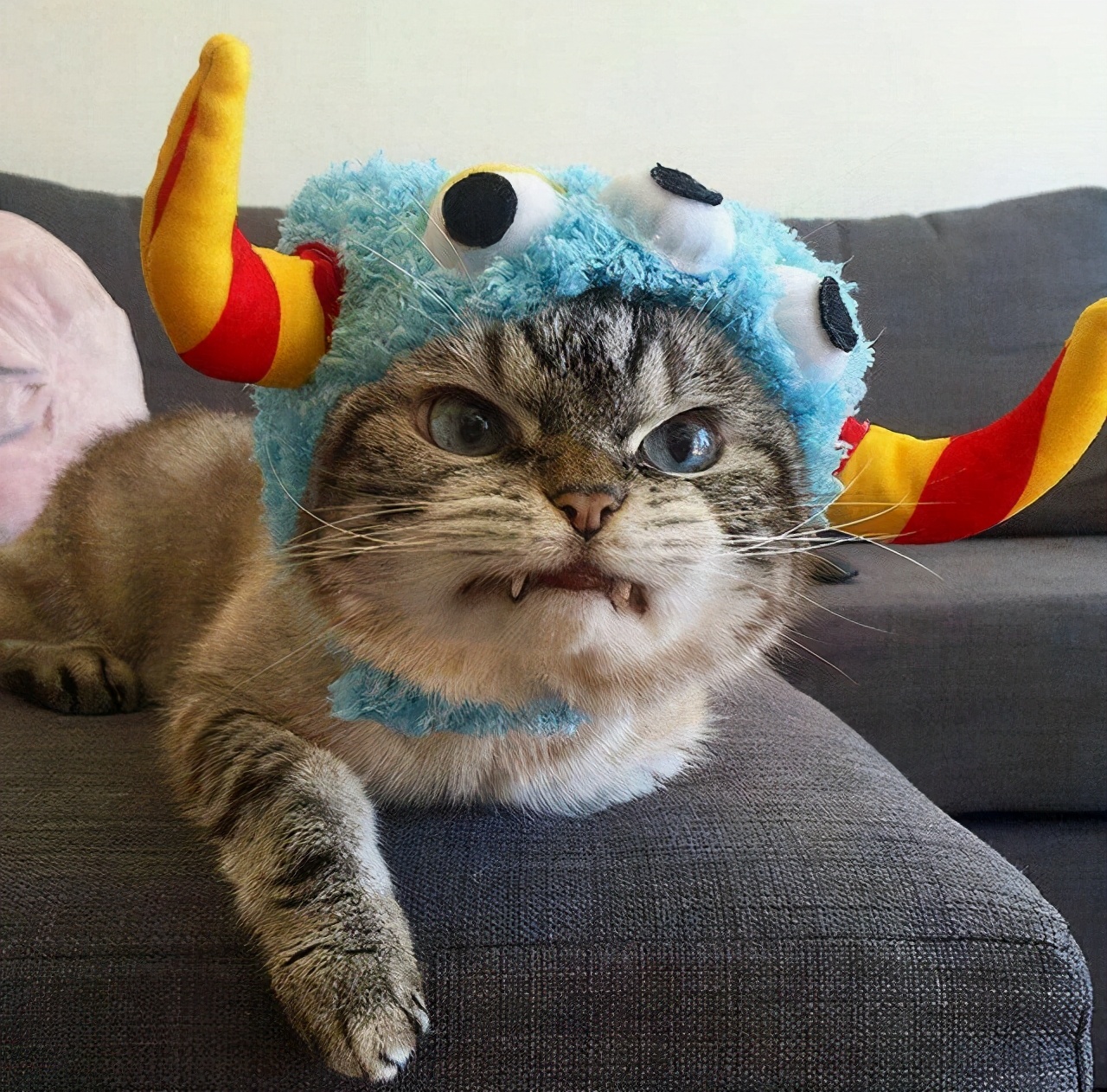 可爱的头像女生呆萌 非常憨憨又逗比的头像 - 时代开运网