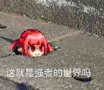 数学博士夺得奥运会冠军，这就是强者的世界吗？