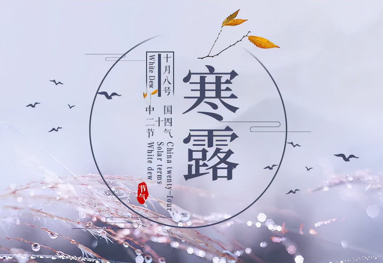 寒露來咯，八方格提醒大家要注意保暖哦