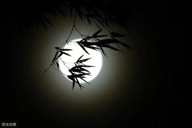 大文豪苏轼诗词集，每一首都是经典！