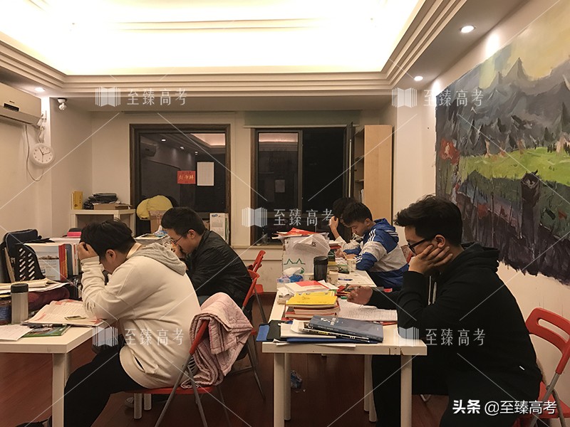 艺考文化课学校（艺考生文化课培训学校排名）