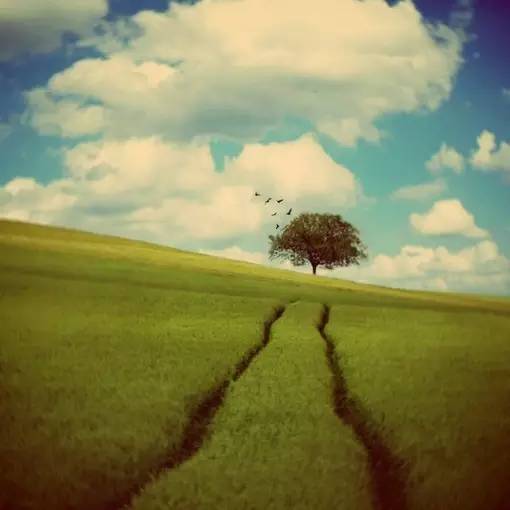 11首现代诗歌，静静的去聆听吧