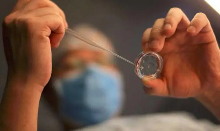 我的卵子这么少,如何抓准时机取到好卵子?